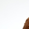 Judy Stone avatar