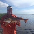 Greg Klesius Real Estate Agent at Gulf Coast Fishing Homes Realty