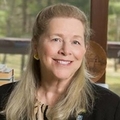 Sandy Stevens Real Estate Agent at Howard Hanna Realty Pioneers