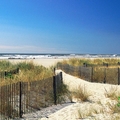 Nicholas Bricker Real Estate Agent at Oceans 12 Realty, Llc