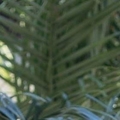 Chad Lane Real Estate Agent at Re/max Gold Coast Realtors