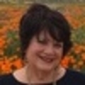Holly Hanlin Real Estate Agent at HomeBased Realty