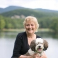 Shelby Collins Real Estate Agent at Harry Norman Realtors